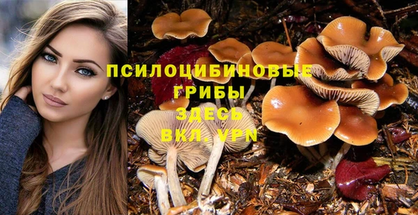 марки nbome Няндома