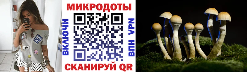 Галлюциногенные грибы ЛСД  darknet какой сайт  Питкяранта 